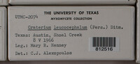 Image Associated With the Occurence